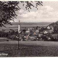 Wartenberg (1942)